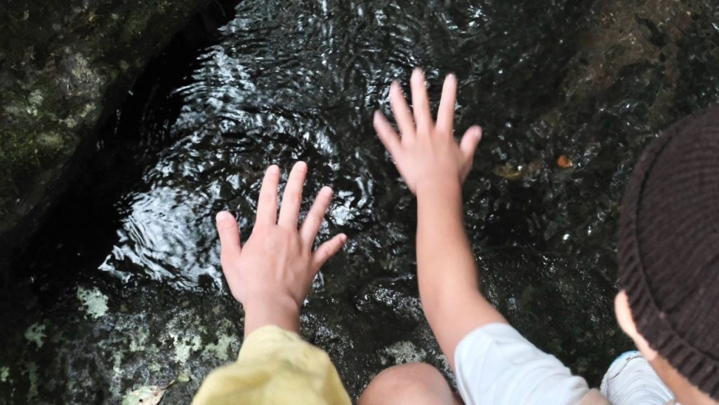 水と手