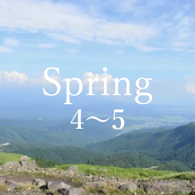 Spring 4～5