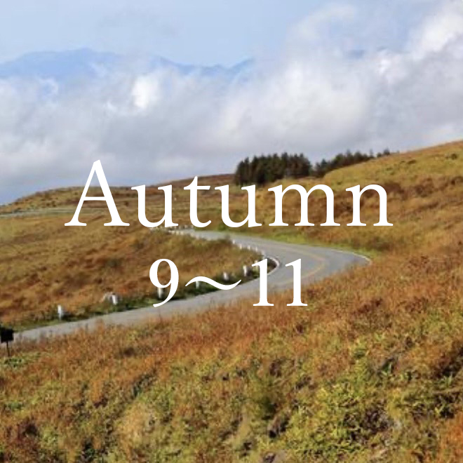 autumn 9～11