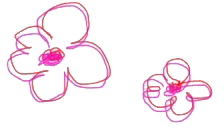 花のイラスト