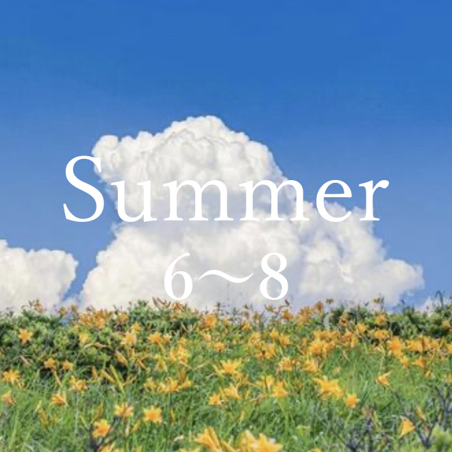 summer 6～8