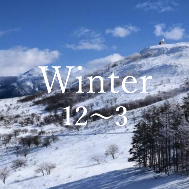 winter 12～3